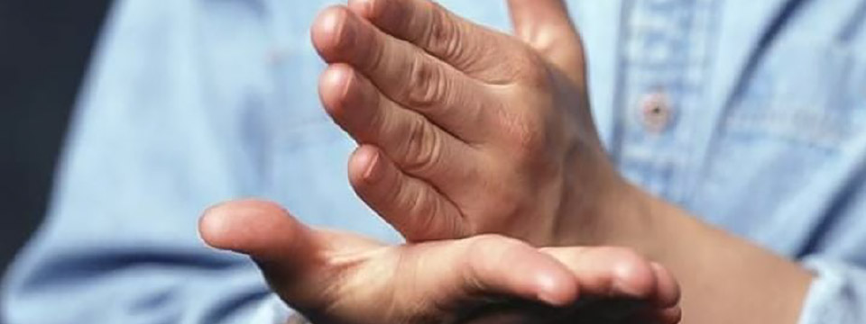 La Lengua de Señas Argentina en el Ámbito Educativo. Nivel Básico.