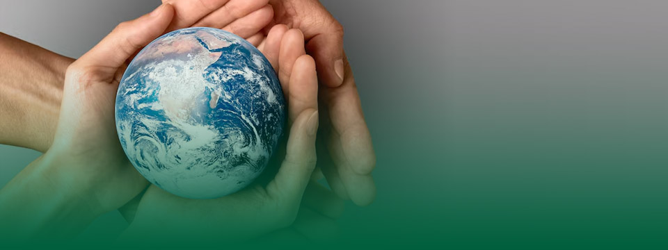 El Cambio Climático y su abordaje en el currículo escolar de la provincia de Misiones